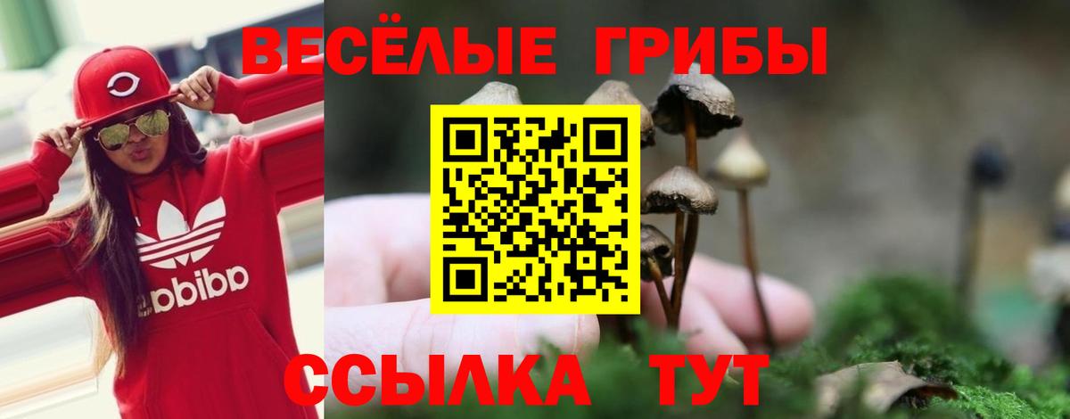 где купить наркоту  Галлюциногенные грибы MAGIC MUSHROOMS  Вход с VPN  Сергиев Посад 